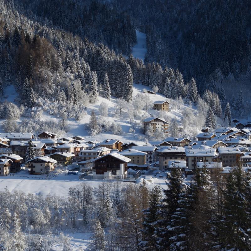 Forni Di Sopra Dolomiti Winter 137