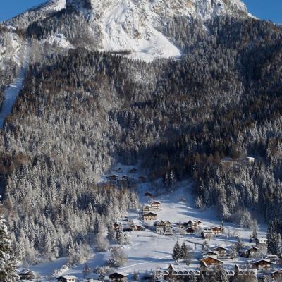 Forni Di Sopra Dolomiti Winter 138