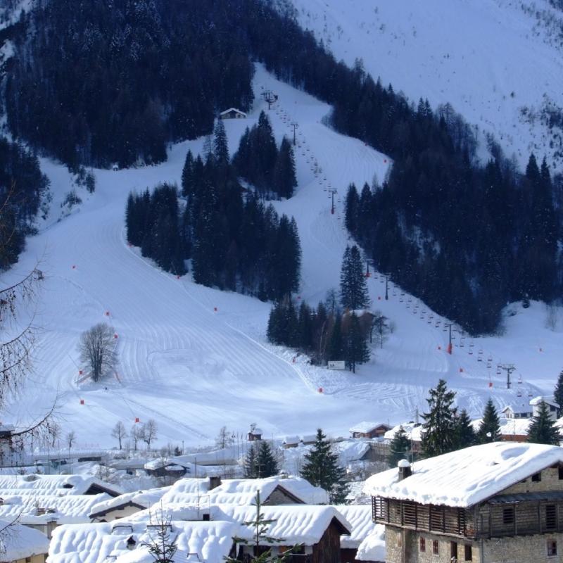 Forni Di Sopra Dolomiti Winter 321