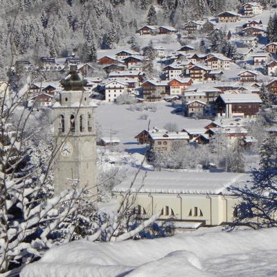 Forni Di Sopra Dolomiti Winter 323