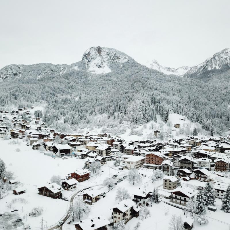 Forni Di Sopra Dolomiti Winter 326