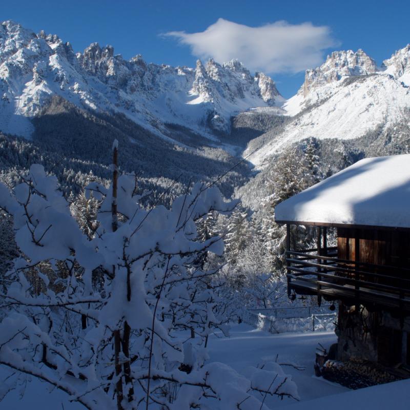 Forni Di Sopra Dolomiti Winter 332