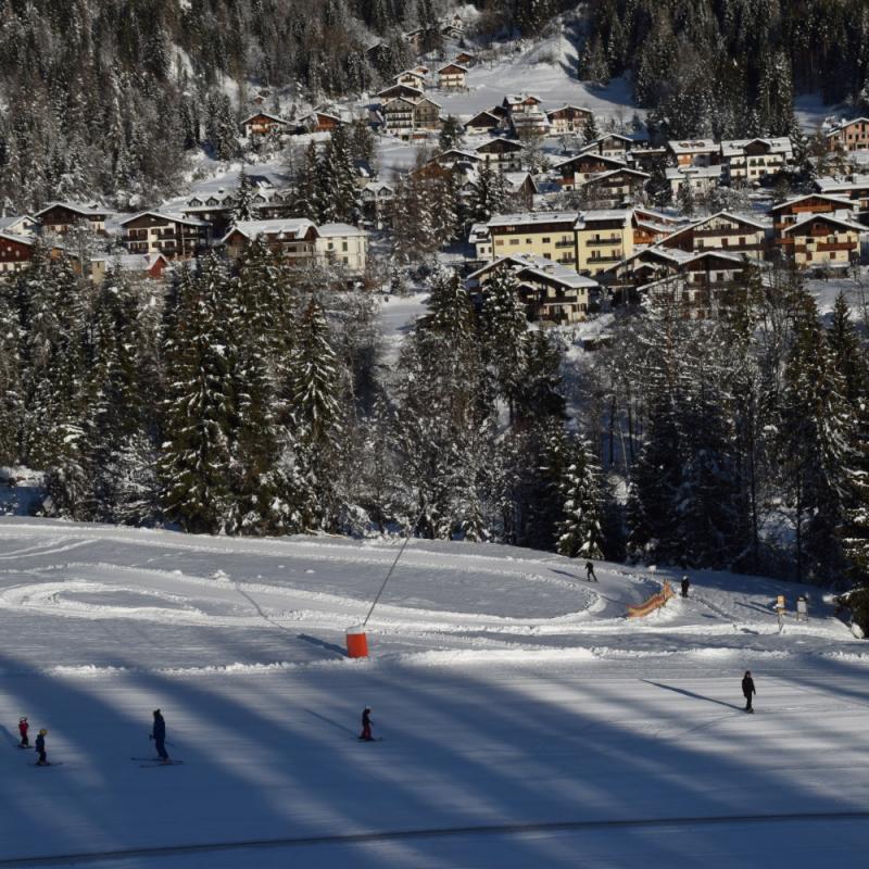 Forni Di Sopra Dolomiti Winter 334