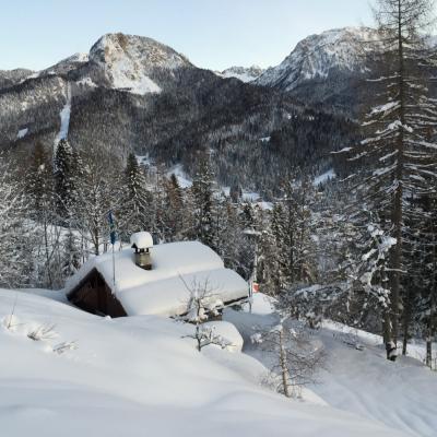 Forni Di Sopra Dolomiti Winter 335