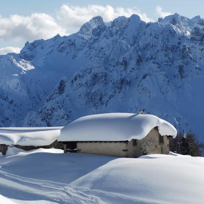 Forni Di Sopra Dolomiti Winter 337