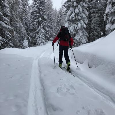 Forni Di Sopra Dolomiti Winter 338