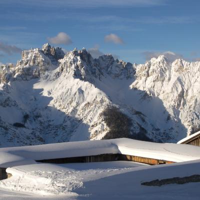 Forni Di Sopra Dolomiti Winter 339