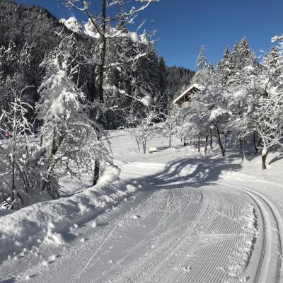 Forni Di Sopra Dolomiti Winter 341