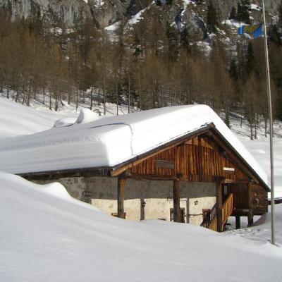 Forni Di Sopra Dolomiti Winter 342