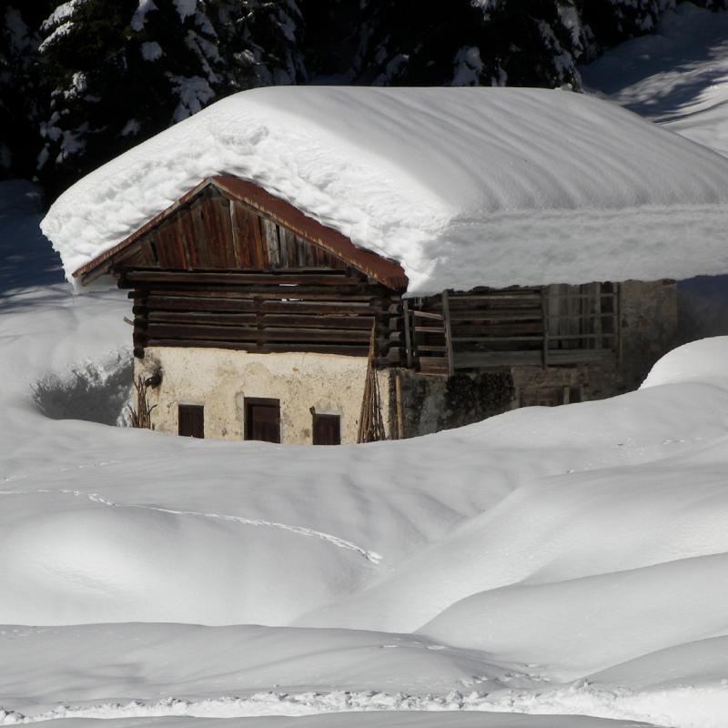 Forni Di Sopra Dolomiti Winter 344