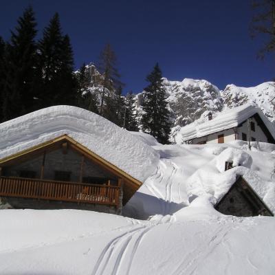 Forni Di Sopra Dolomiti Winter 346