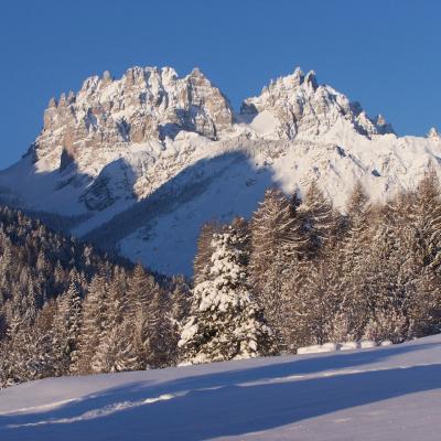 Forni Di Sopra Dolomiti Winter 349