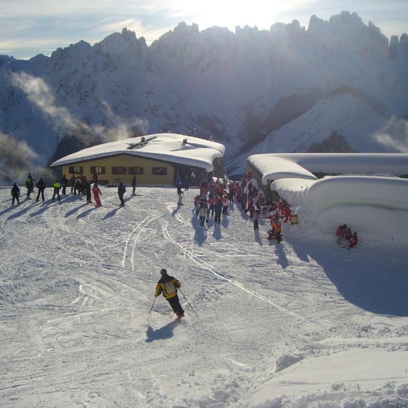 Forni Di Sopra Dolomiti Winter 351