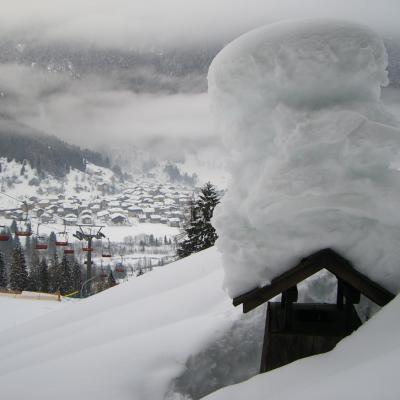 Forni Di Sopra Dolomiti Winter 352