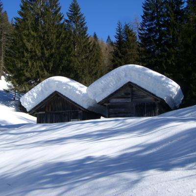 Forni Di Sopra Dolomiti Winter 356