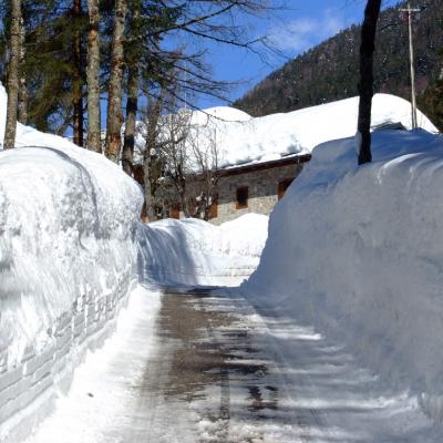 Forni Di Sopra Dolomiti Winter 357
