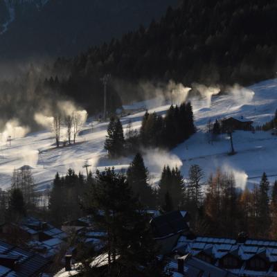 Forni Di Sopra Dolomiti Winter 362