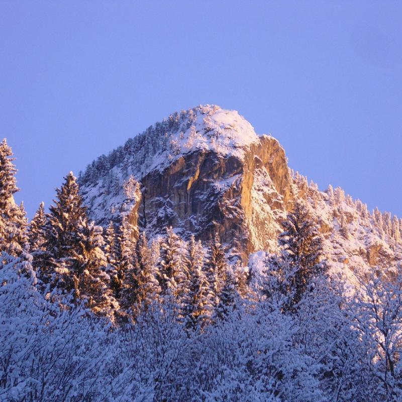 Forni Di Sopra Dolomiti Winter 364