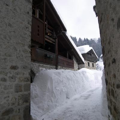 Forni Di Sopra Dolomiti Winter 366