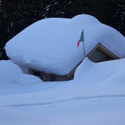 Forni Di Sopra Dolomiti Winter 367
