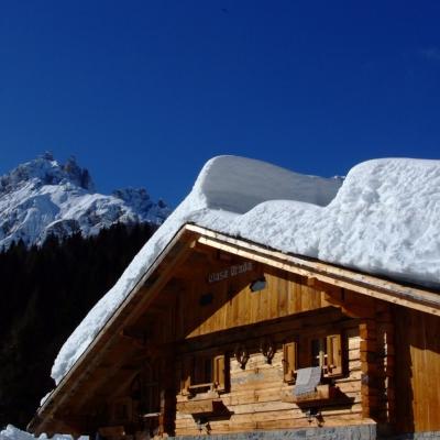 Forni Di Sopra Dolomiti Winter 369