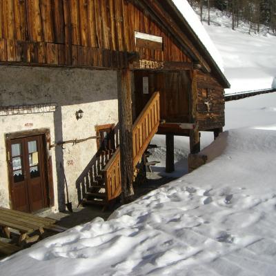 Forni Di Sopra Dolomiti Winter 371