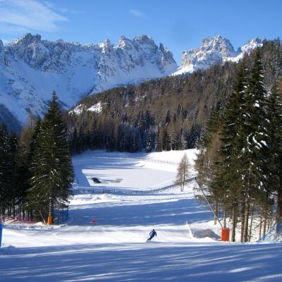 Forni Di Sopra Dolomiti Winter 372