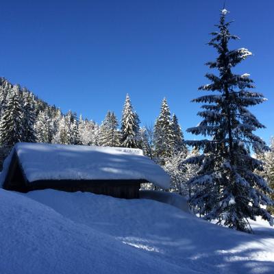 Forni Di Sopra Dolomiti Winter 375