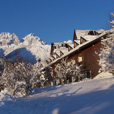 Forni Di Sopra Dolomiti Winter 376