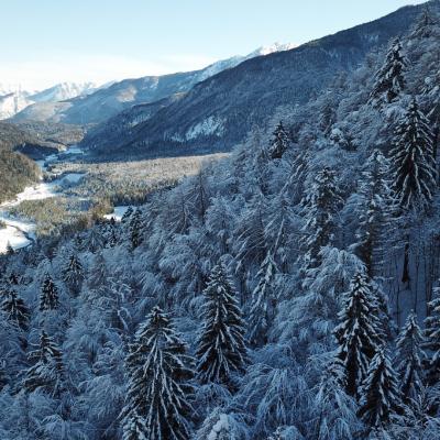 Forni Di Sopra Dolomiti Winter 377