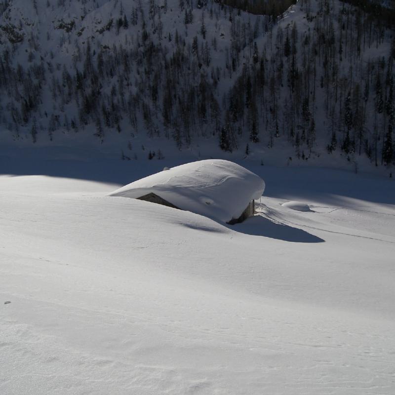 Forni Di Sopra Dolomiti Winter 379
