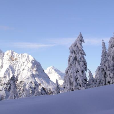 Forni Di Sopra Dolomiti Winter 381