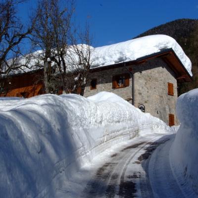 Forni Di Sopra Dolomiti Winter 388