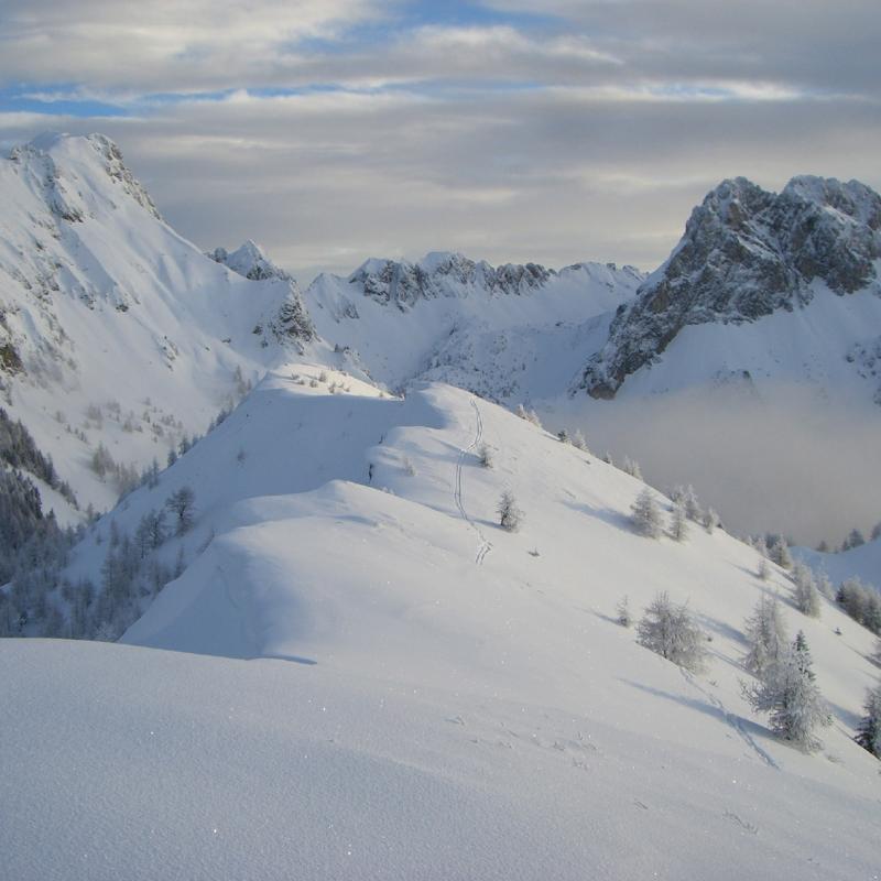 Forni Di Sopra Dolomiti Winter 392