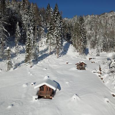 Forni Di Sopra Dolomiti Winter 393