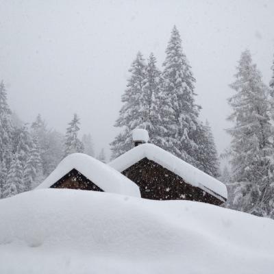 Forni Di Sopra Dolomiti Winter 397