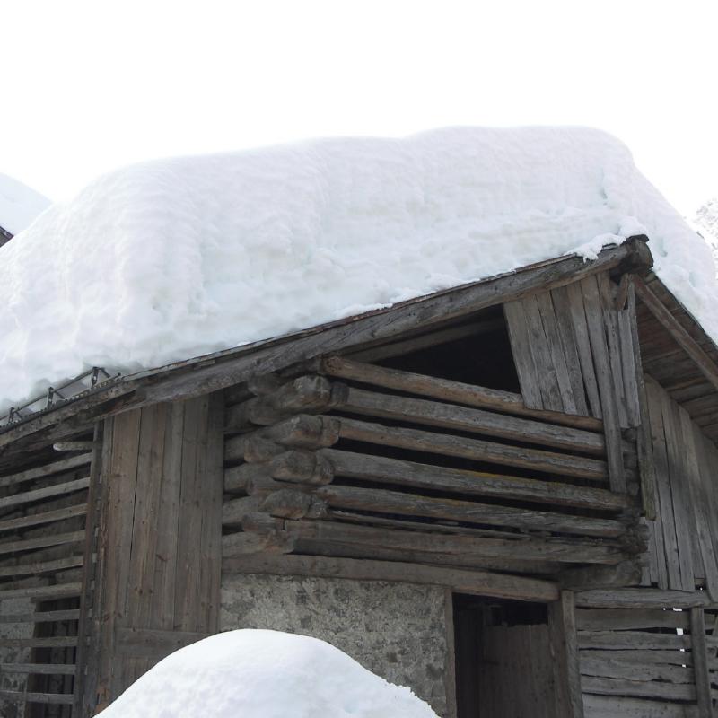 Forni Di Sopra Dolomiti Winter 398