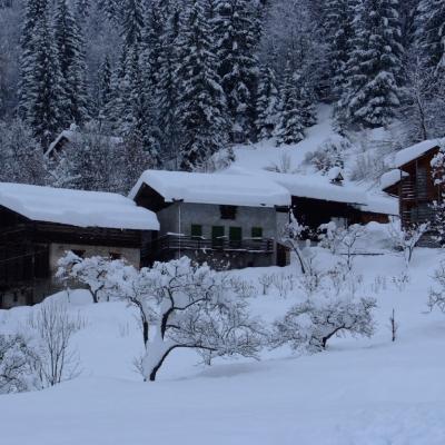 Forni Di Sopra Dolomiti Winter 400