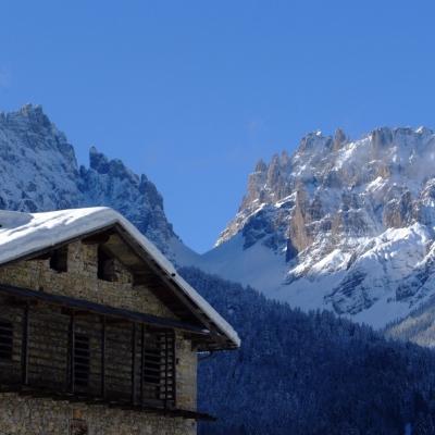Forni Di Sopra Dolomiti Winter 402