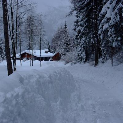 Forni Di Sopra Dolomiti Winter 408