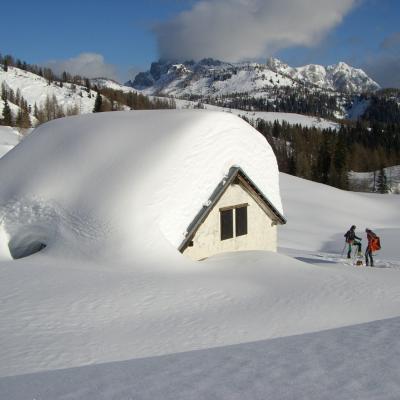 Forni Di Sopra Dolomiti Winter 412