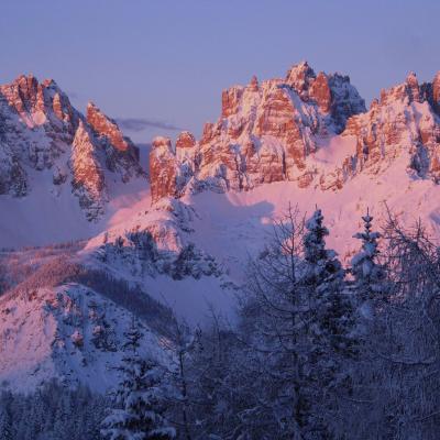 Forni Di Sopra Dolomiti Winter 413