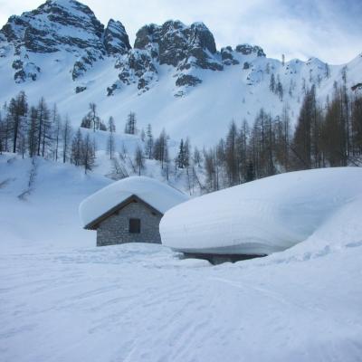 Forni Di Sopra Dolomiti Winter 414