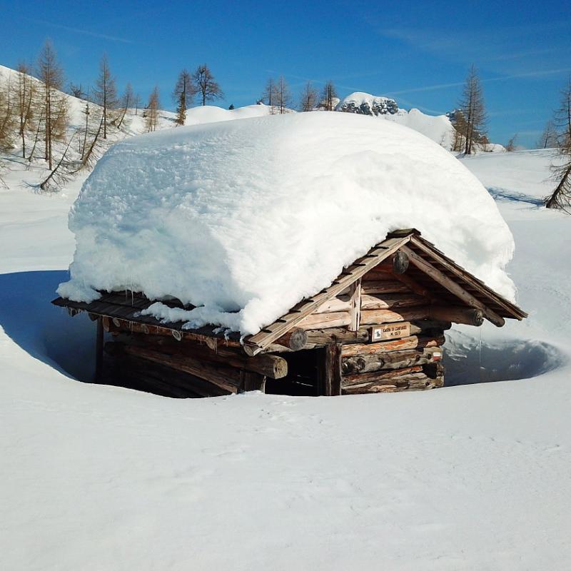 Forni Di Sopra Dolomiti Winter 415