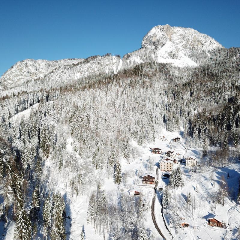 Forni Di Sopra Dolomiti Winter 416