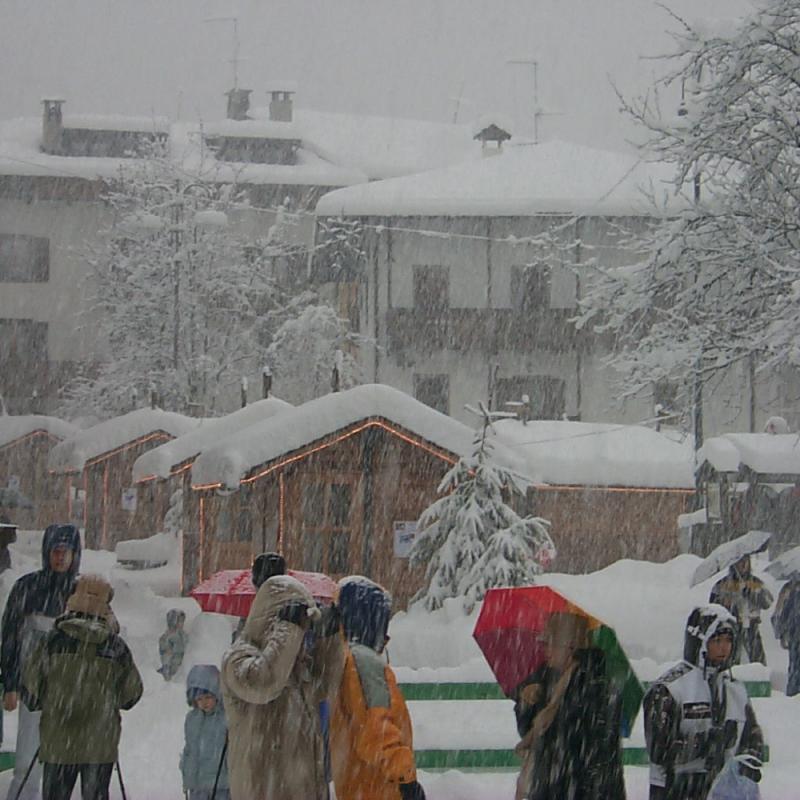 Forni Di Sopra Dolomiti Winter 422