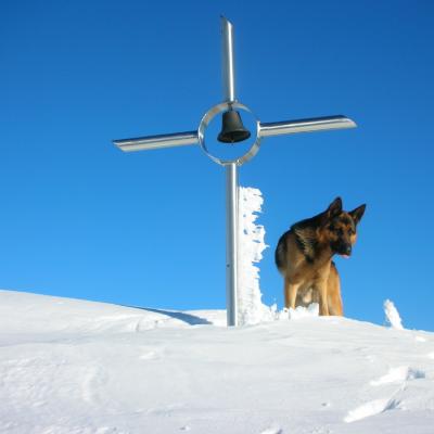 Forni Di Sopra Dolomiti Winter 423