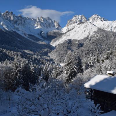 Forni Di Sopra Dolomiti 190