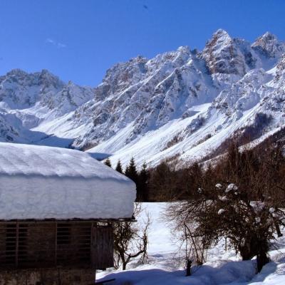 Forni Di Sopra Dolomiti 195