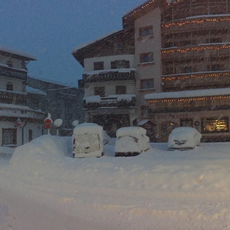 Forni Di Sopra Dolomiti 198